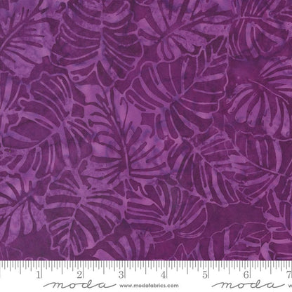 Moda Berrylicious Batiks Fig 4368-25 Ruler Image