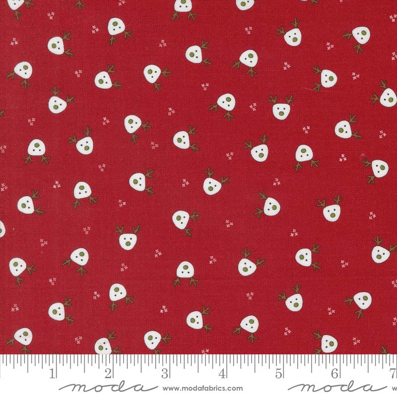 Moda On Dasher Dasher Red 55661-12 Ruler Image