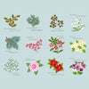 Lewis And Irene Winter Botanical Winter Botanical Fabric Panel A788