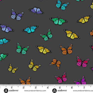 Andover Colour Wheel Butterfly Rainbow Night A-1443-K Main Image