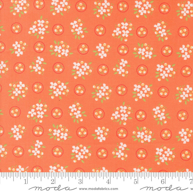 Moda Cali And Co Ring Around Posie Melon 29191-14 Ruler Image