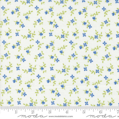 Moda Cali And Co Vine And Bud Cloud Cobalt 29192-21 Ruler Image