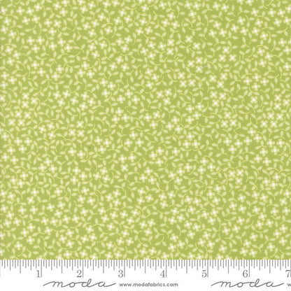 Moda Cali And Co Ditsy Ditsy Pistachio 29193-37 Ruler Image