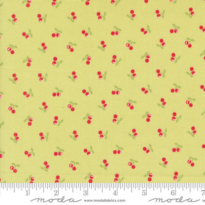 Moda Cali And Co Light Lime 29194-18 Ruler Image