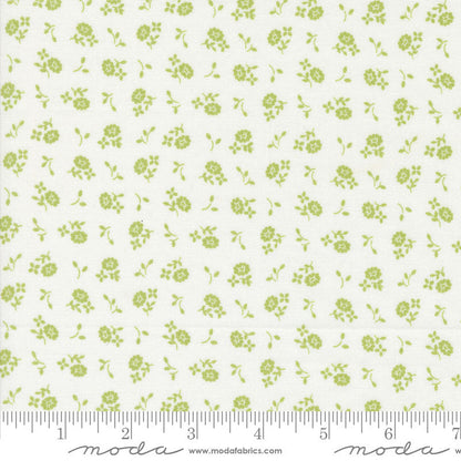 Moda Cali And Co Cameo Ditsy Cloud Pistachio 29195-17 Ruler Image