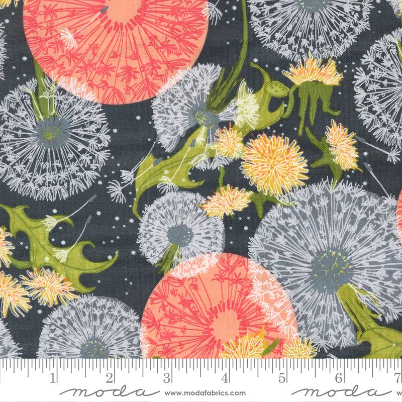 Moda Dandi Duo Dandelions Fields Graphite 48750-18 Ruler Image