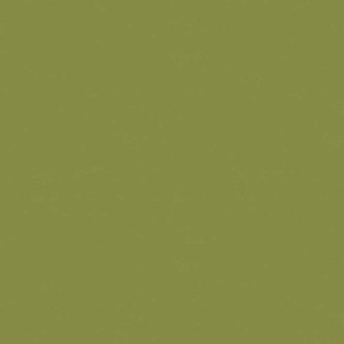 Moda Fabric Moda Bella Solids Green  - The Sewing Studio