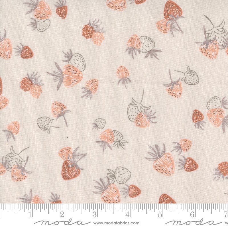 Moda Fabric Moda Chirp  - The Sewing Studio