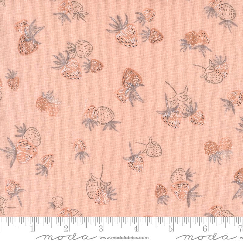 Moda Fabric Moda Chirp  - The Sewing Studio