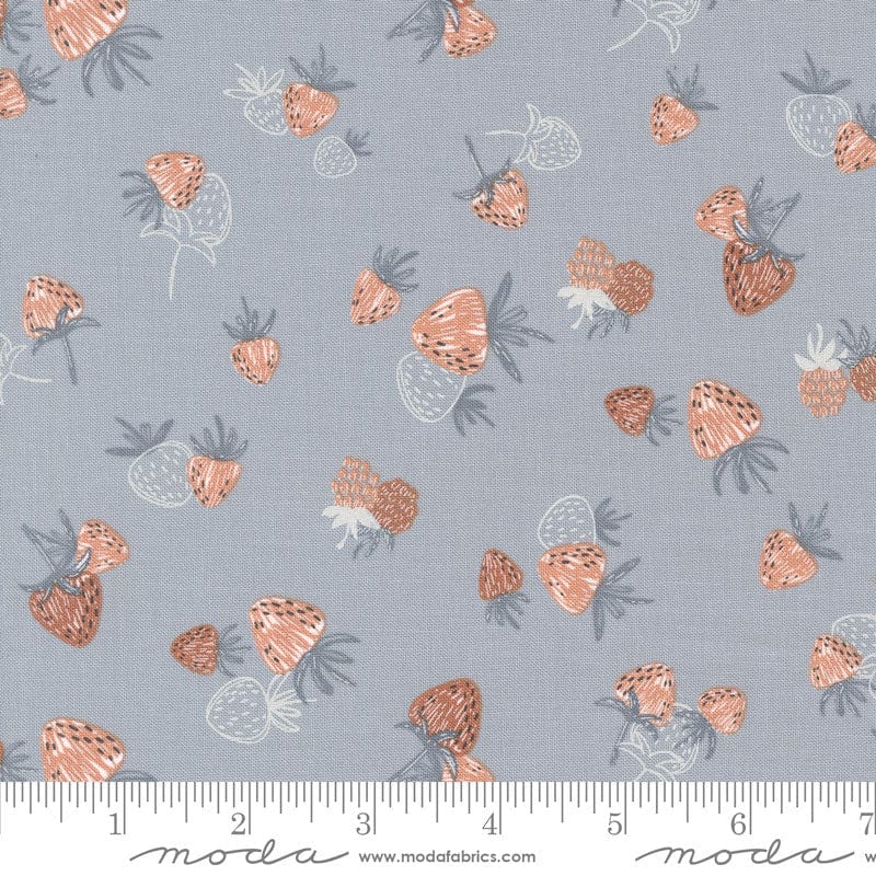 Moda Fabric Moda Chirp  - The Sewing Studio