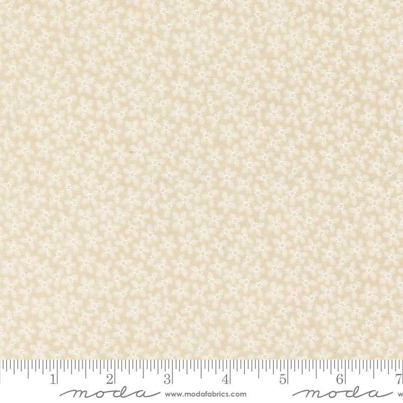 Moda Fabric Moda KT Favorites Backgrounds  - The Sewing Studio