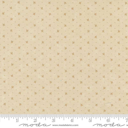 Moda Fabric Moda KT Favorites Backgrounds  - The Sewing Studio