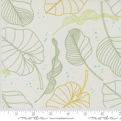 Moda Fabric Moda Olive You  - The Sewing Studio