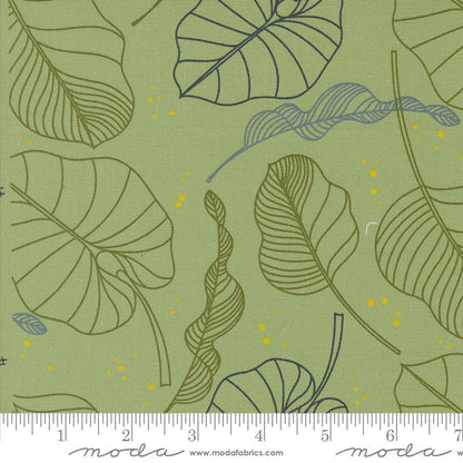 Moda Fabric Moda Olive You  - The Sewing Studio