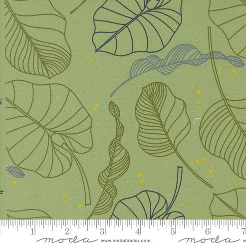 Moda Fabric Moda Olive You  - The Sewing Studio