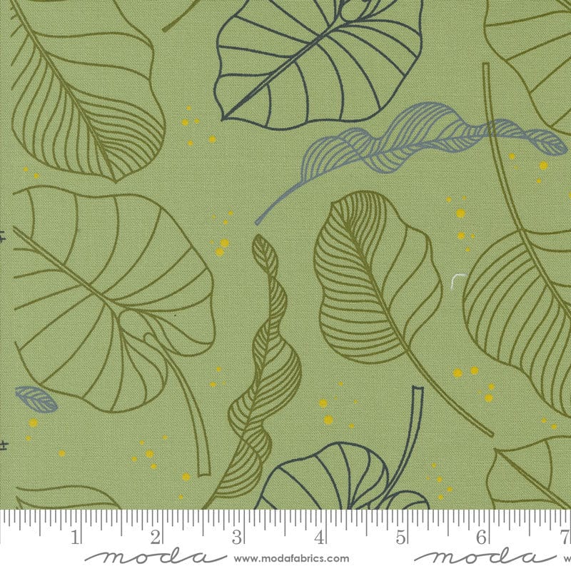 Moda Fabric Moda Olive You  - The Sewing Studio