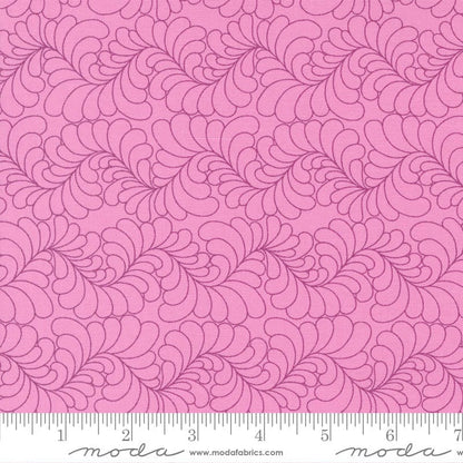 Moda Fabric Moda Rainbow Sherbet  - The Sewing Studio