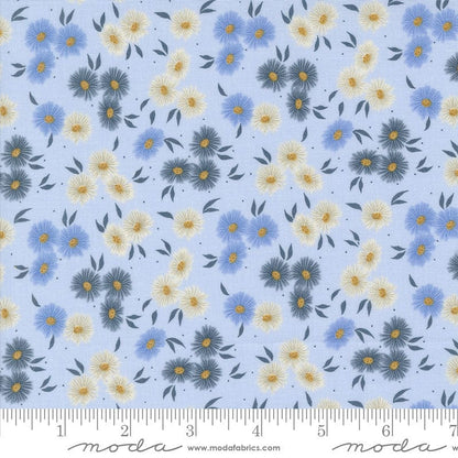 Moda Fabric Moda Seaglass Summer  - The Sewing Studio