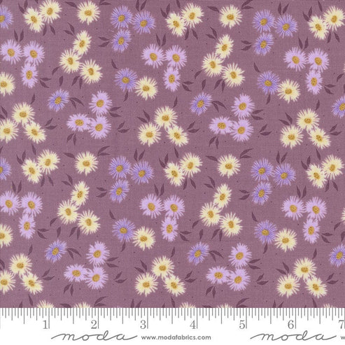 Moda Fabric Moda Seaglass Summer Beach Asters Beach Plum 43181-14  - The Sewing Studio