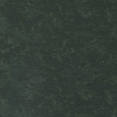 Moda Fabric Moda Twelve Days Solid Peridot 6538-282