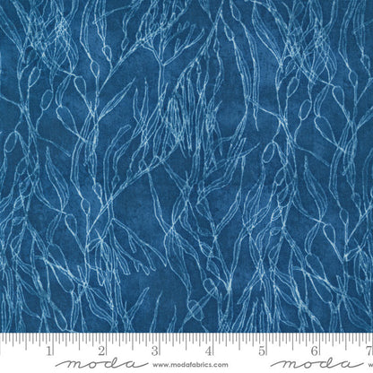 Moda Serena Shores Seaweeds Coastal 48773-14 Ruler Image