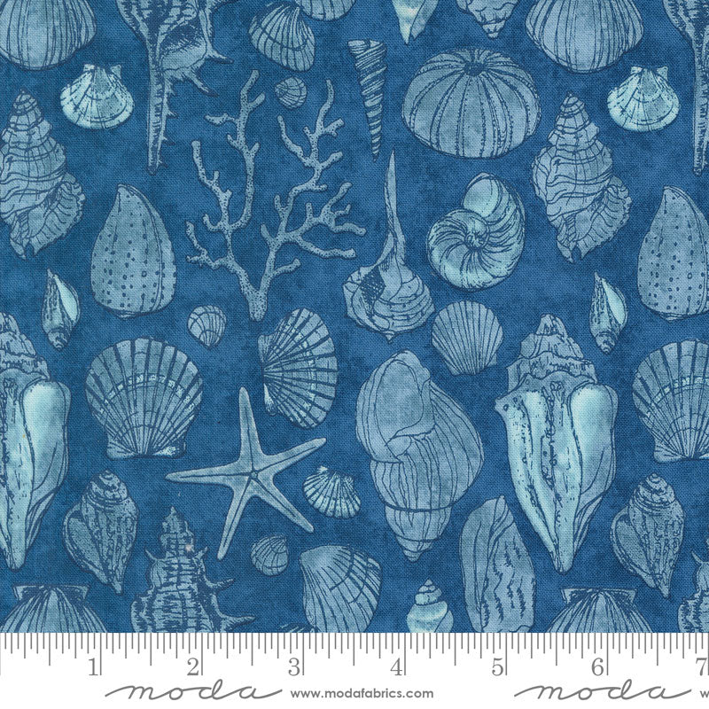 Moda Serena Shores Sketchy Shells Coastal 48774-14 Ruler Image