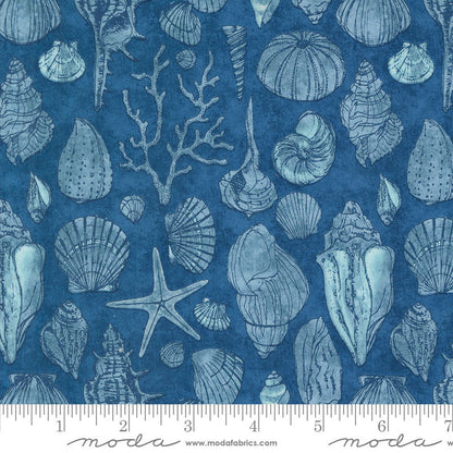 Moda Serena Shores Sketchy Shells Coastal 48774-14 Ruler Image