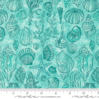 Moda Serena Shores Sketchy Shells Aqua 48774-21 Ruler Image