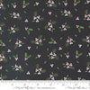 Moda Starberry Pine Springs Charcoal 29182-14 Ruler Image