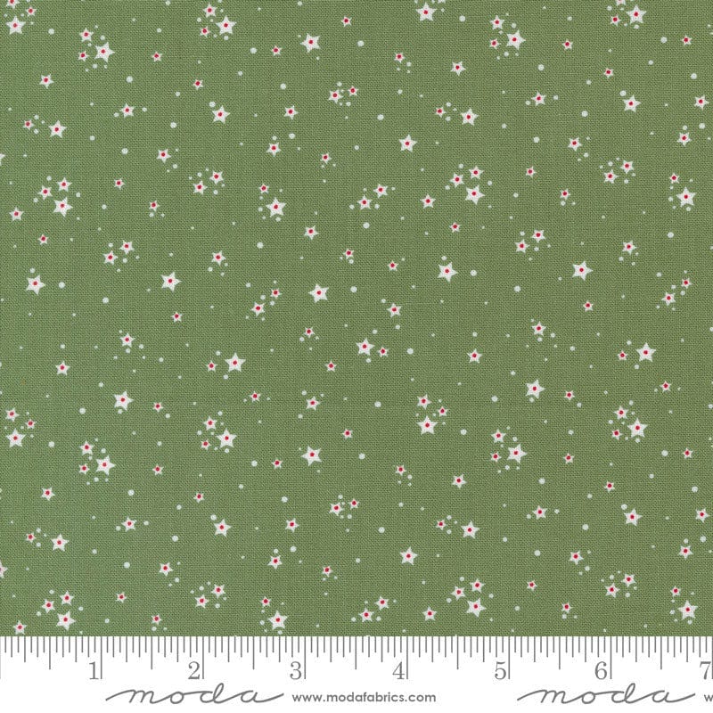 Moda Starberry Stardust Green 29187-23 Ruler Image