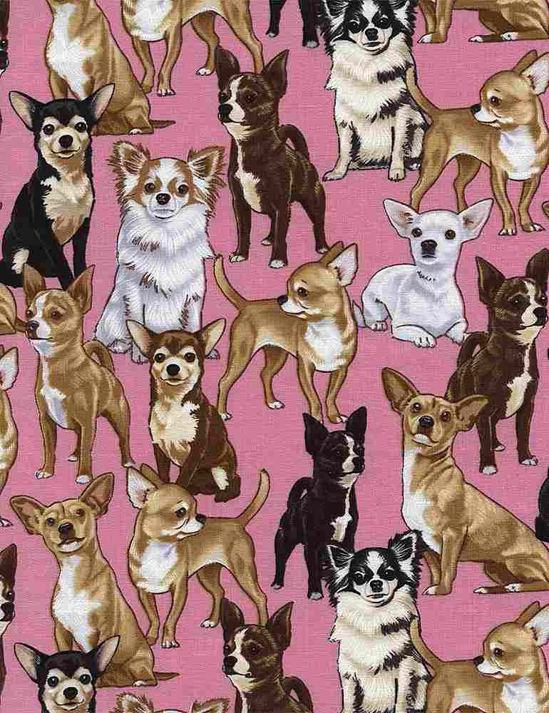 Timeless Treasures Fabric Timeless Treasures Cats and Dogs  - The Sewing Studio