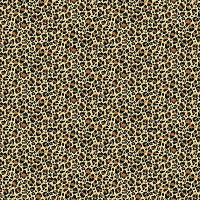 Makower Around The World Leopard Print