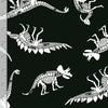 Timeless Treasures Fabric Glow In The Dark Dinosaur Skeleton