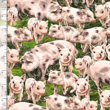 Timeless Treasures Fabric Pigs
