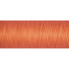 Gutermann Sew All Thread 100M Colour 895
