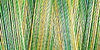 Gutermann Sulky Variegated Cotton Thread 30 300M Colour 4013