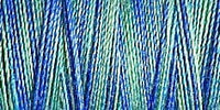 Gutermann Sulky Variegated Cotton Thread 30 300M Colour 4014