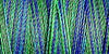 Gutermann Sulky Variegated Cotton Thread 30 300M Colour 4016