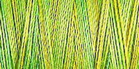 Gutermann Sulky Variegated Cotton Thread 30 300M Colour 4017