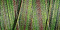 Gutermann Sulky Variegated Cotton Thread 30 300M Colour 4020