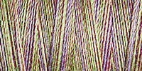 Gutermann Sulky Variegated Cotton Thread 30 300M Colour 4023
