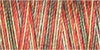 Gutermann Sulky Variegated Cotton Thread 30 300M Colour 4121