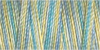 Gutermann Sulky Variegated Cotton Thread 30 300M Colour 4125