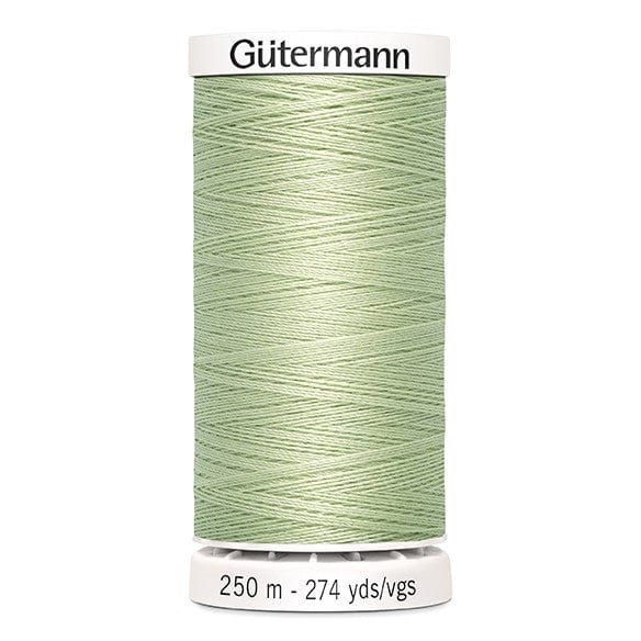 Gutermann Threads Gutermann Sew All Thread 250M Colour 818  - The Sewing Studio