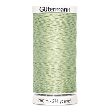 Gutermann Threads Gutermann Sew All Thread 250M Colour 818  - The Sewing Studio for sale UK - The Sewing Studio