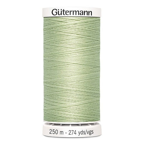 Gutermann Threads Gutermann Sew All Thread 250M Colour 818  - The Sewing Studio