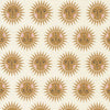 Moda Birdsong Fabric Sunshine Cloud 48354-11