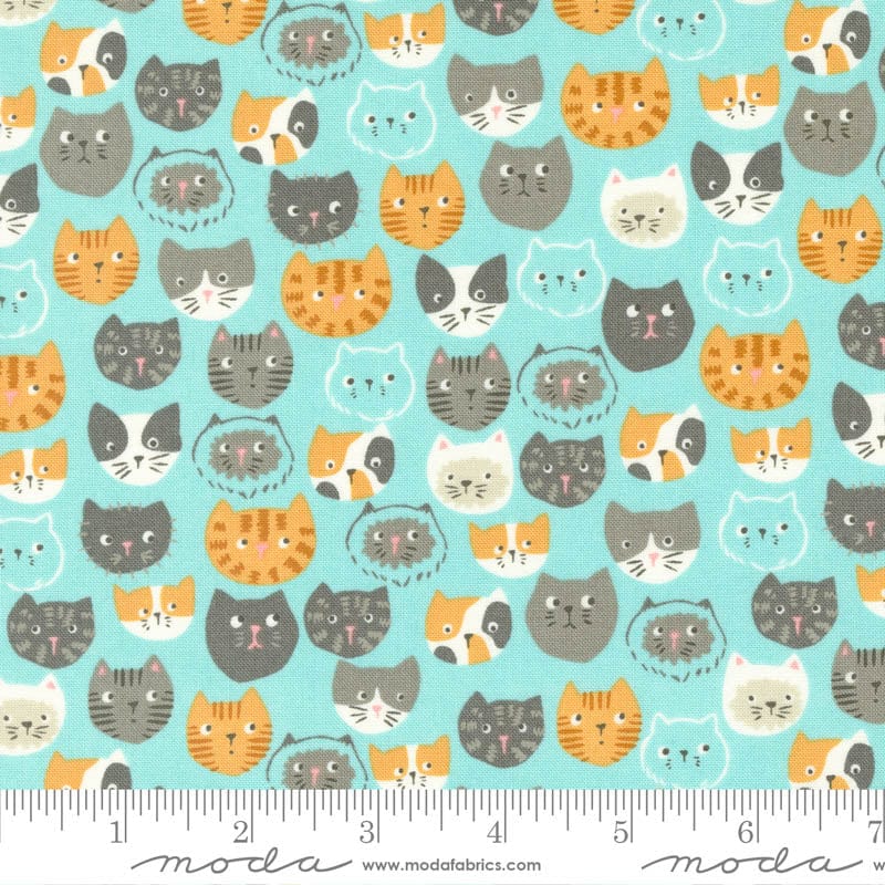 Moda Fabric Moda Here Kitty Kitty Cat Faces Aqua 20830-18  - The Sewing Studio