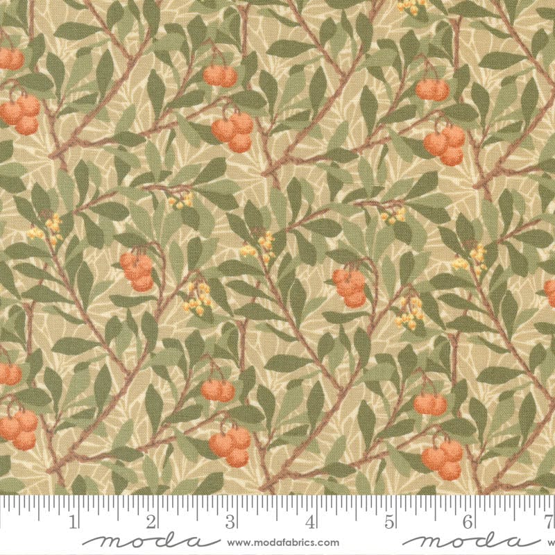 Moda Morris Meadow Arbutus Parchment 8373-12 Ruler Image