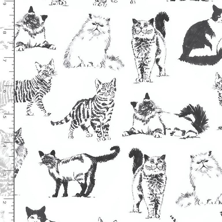 Timeless Treasures Fabric Sketched Realistic Cats Fabric  - The Sewing Studio